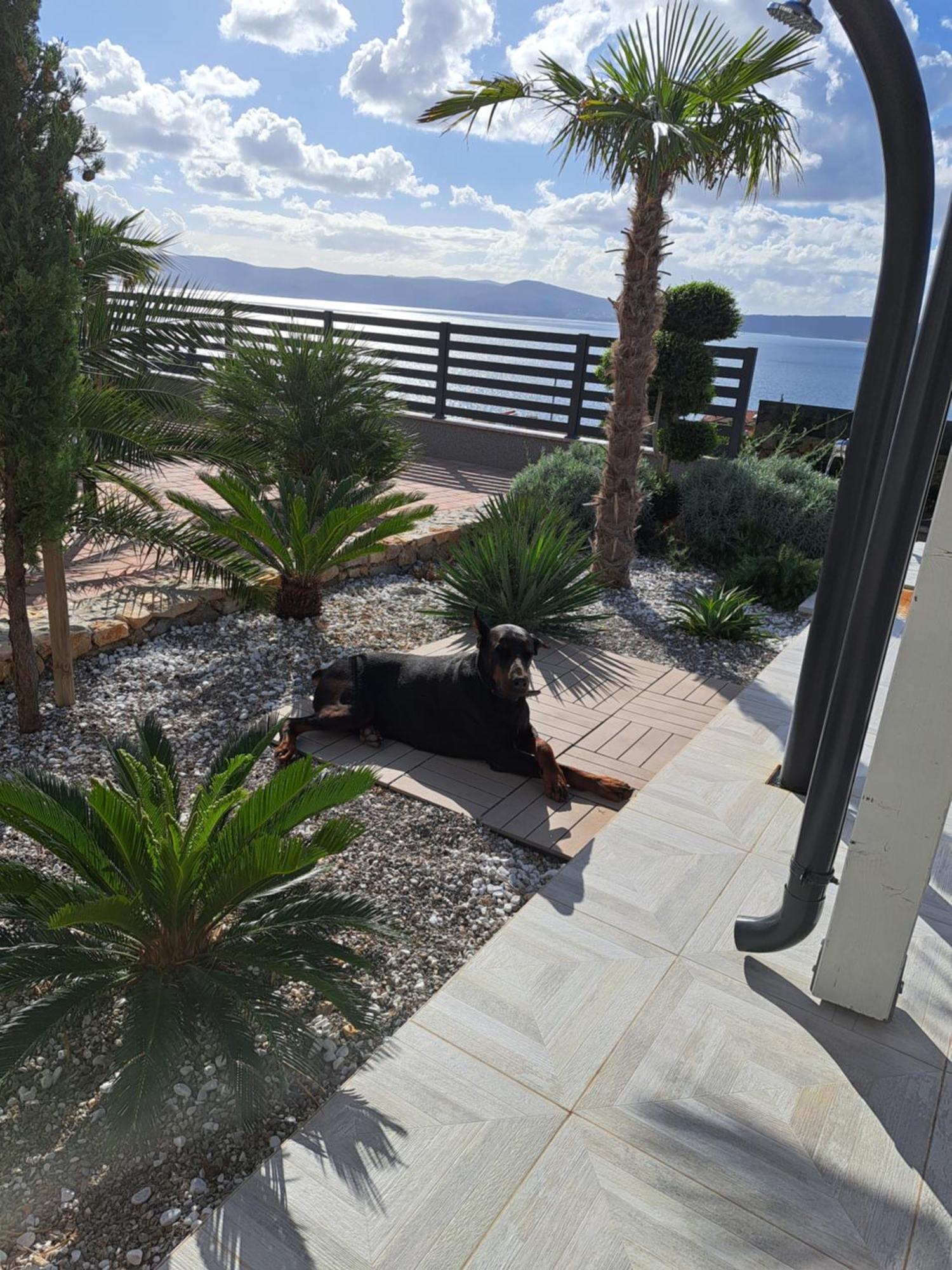 Villa Belissima Vista Mare Selce Kültér fotó