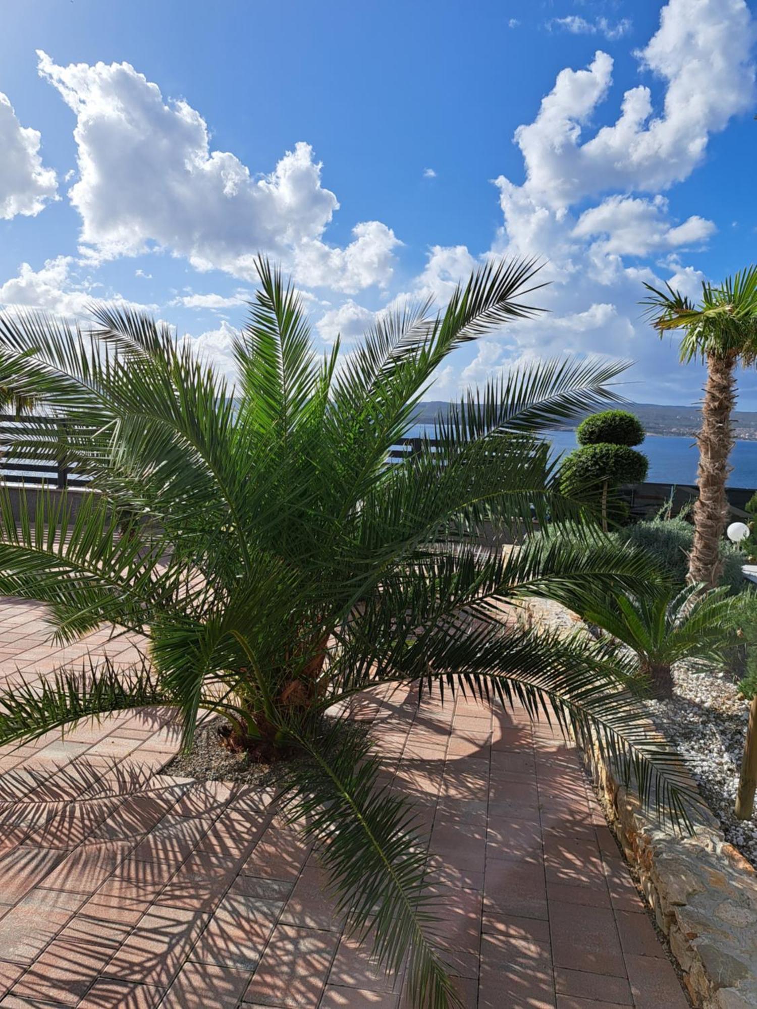 Villa Belissima Vista Mare Selce Kültér fotó